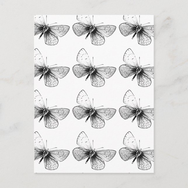 Carte Postale Papillon Pop Art (Devant)