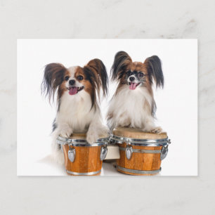 Carte Postale Papillon Puppies Jouer des tambours