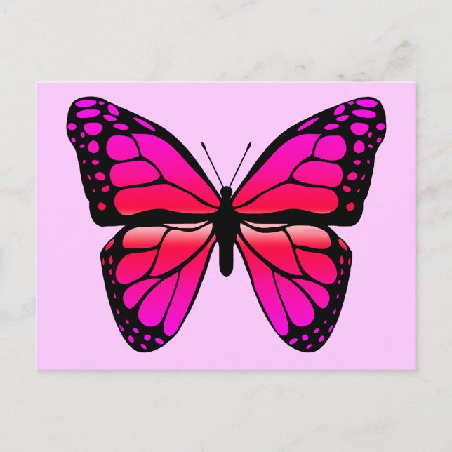 Carte postale Papillon rose (Devant)