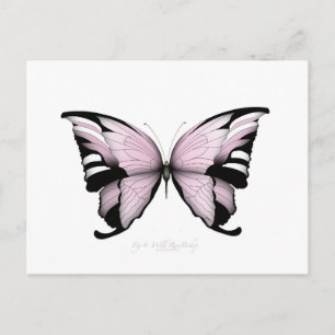 Carte Postale Papillon rose Rose sauvage évêque