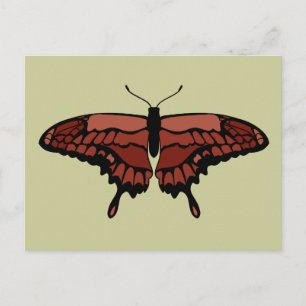 Carte postale Papillon rouge