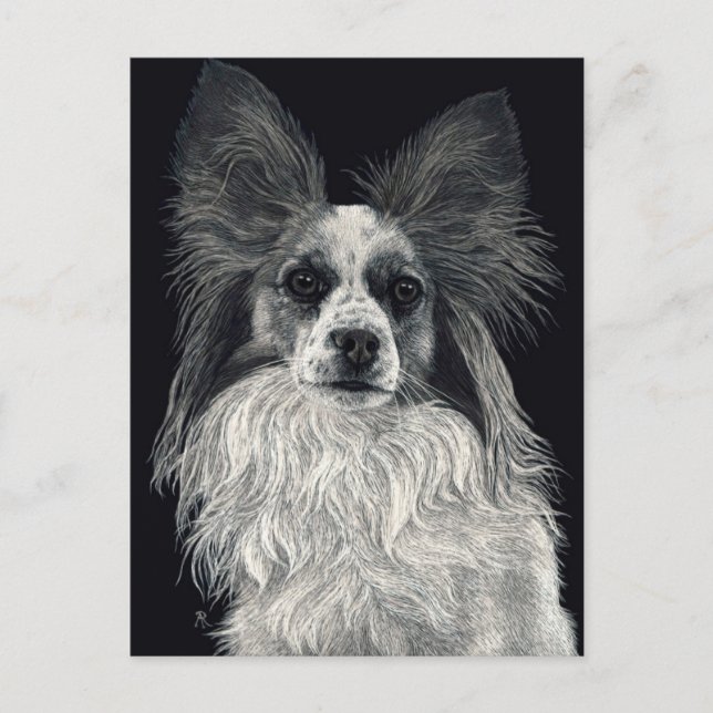 Carte postale Papillon - "Sparkles" (Devant)