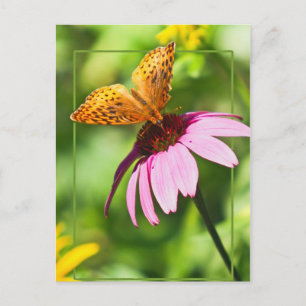 Carte Postale Papillon sur confleur pourpre