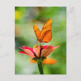 Carte Postale Papillon sur une fleur