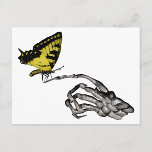 Carte Postale Papillon Swallowtail