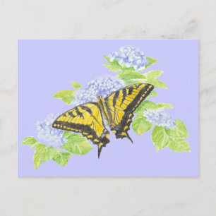 Carte Postale Papillon Swallowtail sur Hydrangea Flower art
