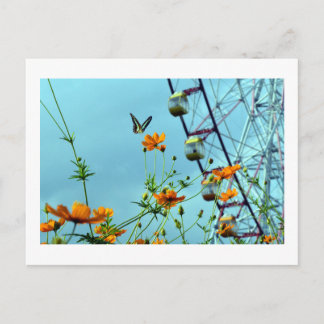 Carte Postale Papillon Triangle Bleu & Fleurs de Cosmos : Japon