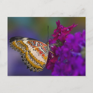 Carte Postale Papillon tropical aux fleurs violettes