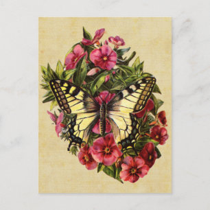 Carte postale papillon vintage