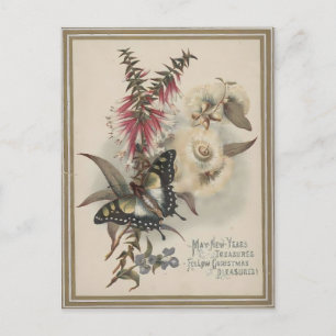 Carte Postale Papillon Vintage & Fleurs Australiennes Noël