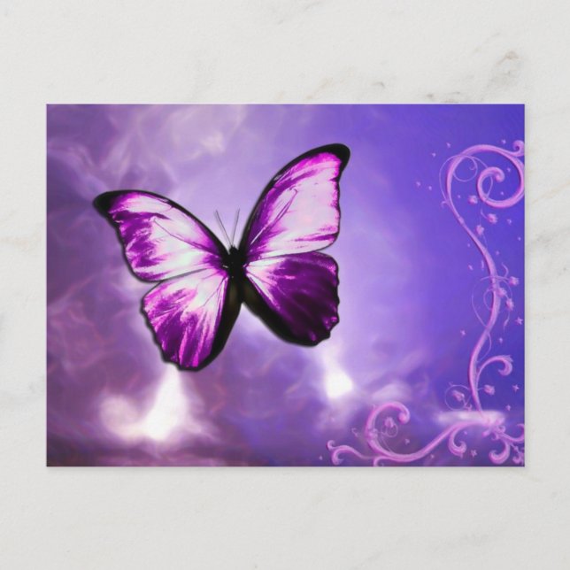 Carte postale Papillon violet (Devant)
