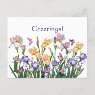 Carte Postale Papillon violet Iris rose Floral
