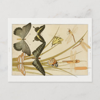Carte Postale Papillons & Cattails Art Nouveau vintage