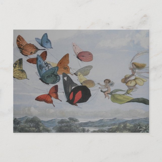 Carte Postale Papillons et papillons de la reine des fées (Devant)