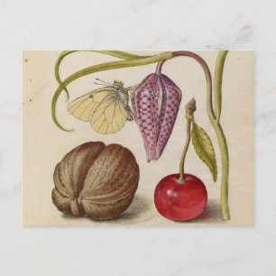 Carte Postale Papillons noix Fleur Cerisier Aquarelle Art