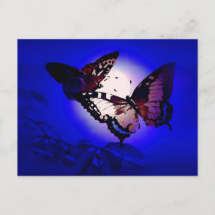 Carte Postale Papillons - Papillon