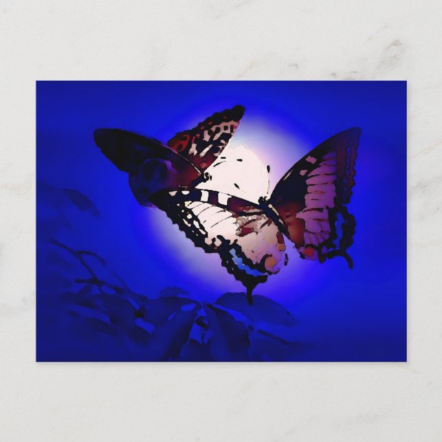 Carte Postale Papillons - Papillon (Devant)