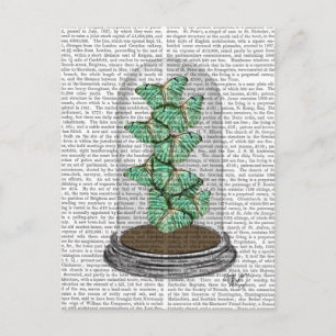Carte Postale Papillons verts dans Bell Jar 2