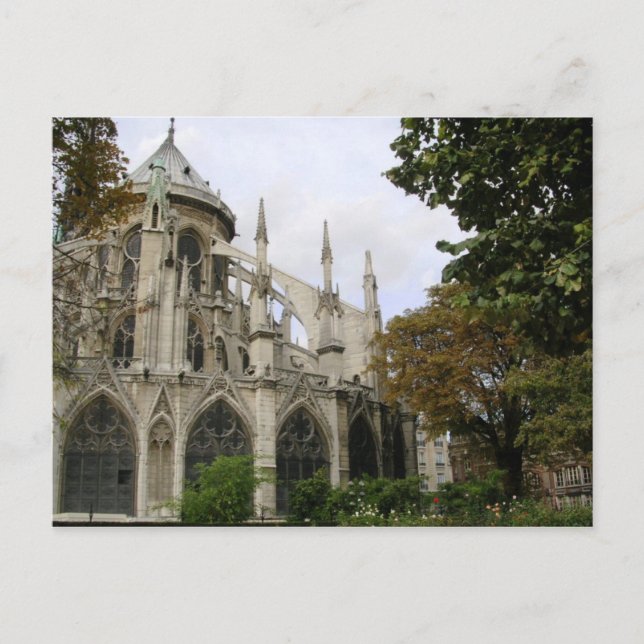 Carte Postale Papillons volants (Devant)