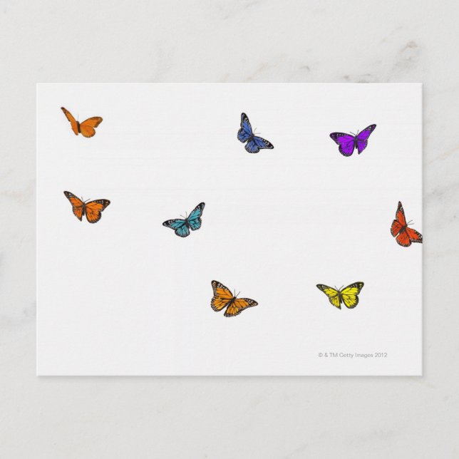 Carte Postale Papillons volants (Devant)