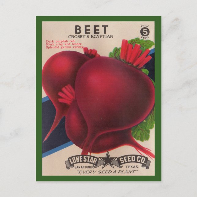 Carte Postale Paquet de semences de betteraves des années 1950 (Devant)