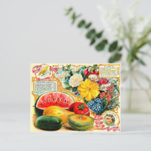 Carte Postale Paquet de semences vintage.
