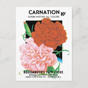 Carte Postale Paquet de semences vintage Art Étiquette, Fleurs o