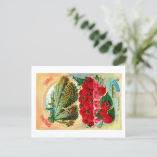 Carte Postale Paquets de graines. 