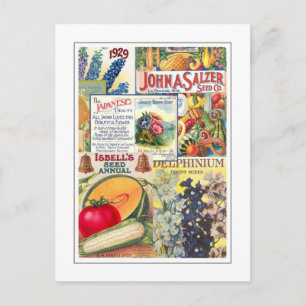Carte Postale Paquets de semences