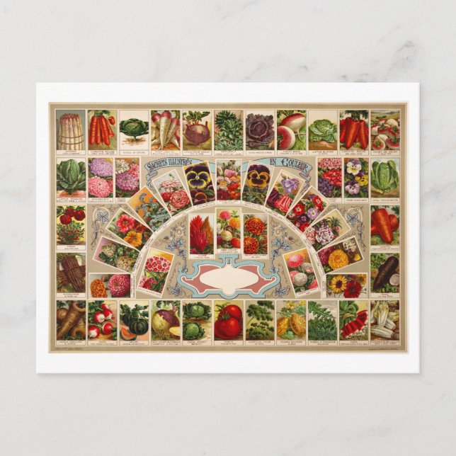 Carte Postale Paquets de semences vintages (Devant)