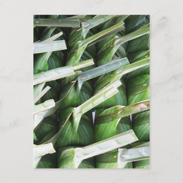 Carte Postale Paquets en feuille de bananier enveloppés (Devant)