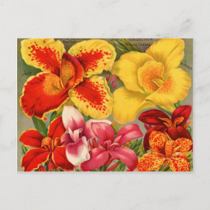 Carte Postale Paquets vintages de semences Cartes, Postage et Ca