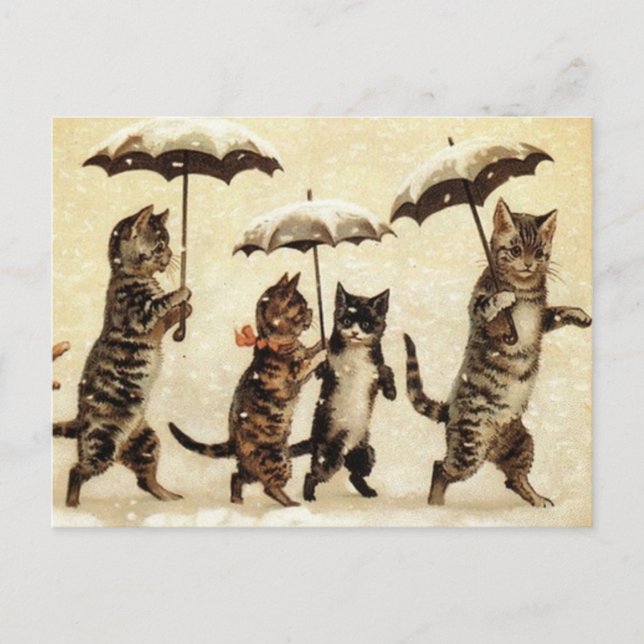 Carte Postale Parade de chats (Devant)
