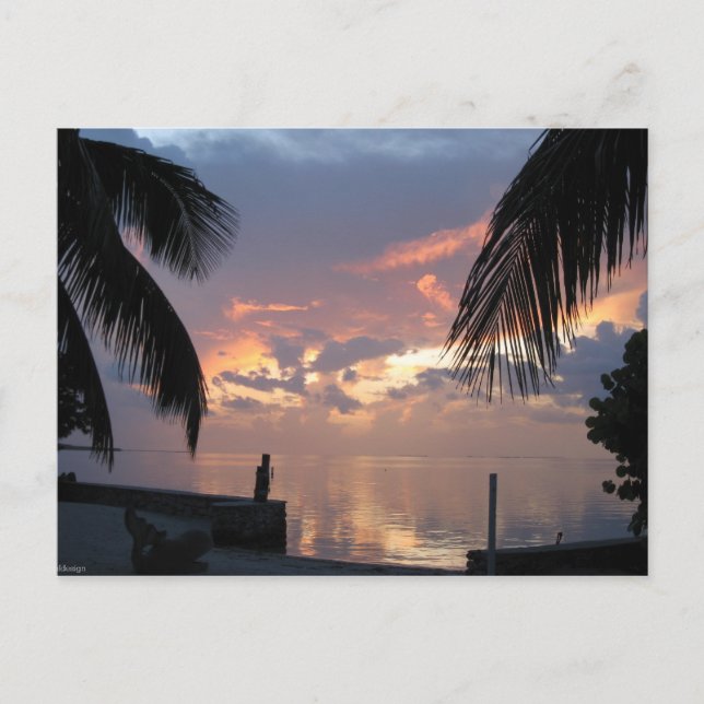 Carte Postale Paradis (Devant)
