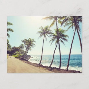 Carte Postale Paradis tropical île exotique palmiers, océan