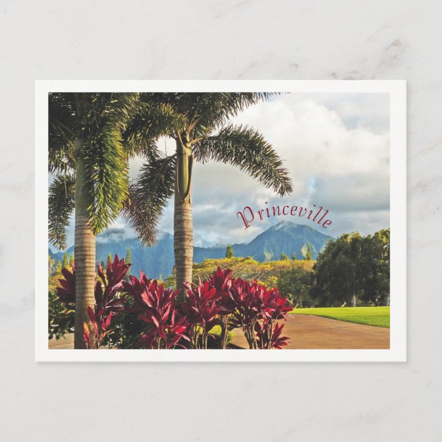 Carte Postale "Paradis tropical"/Princeville, Kauai (Devant)