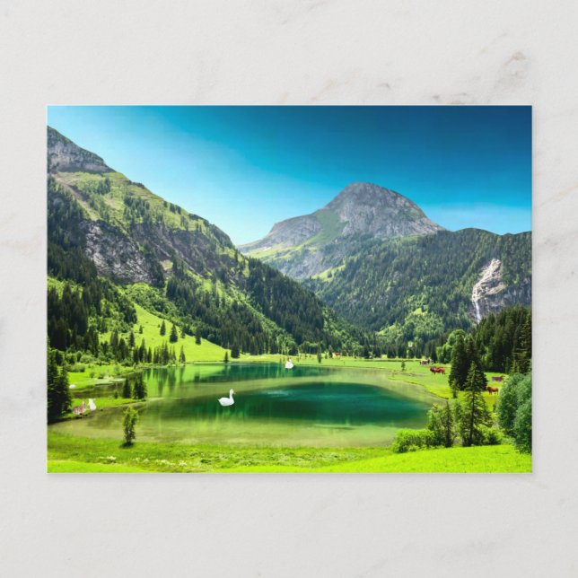 Carte Postale Paradise Cove (Devant)