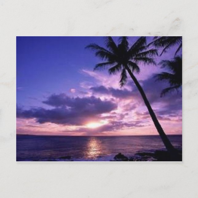 Carte Postale Paradise Island (Devant)