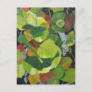 Carte Postale Paragraphe