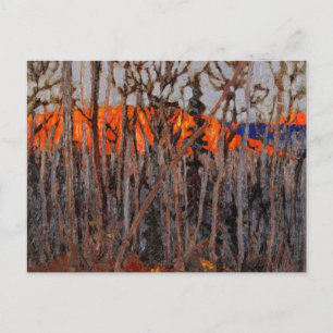 Carte Postale Parc Algonquin