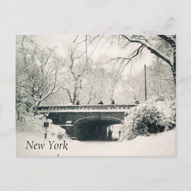 Carte Postale parc central (Devant)