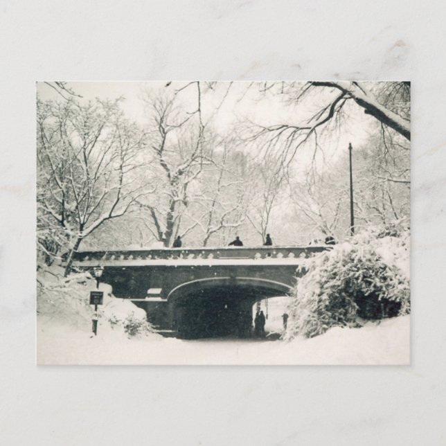 Carte Postale parc central hiver (Devant)