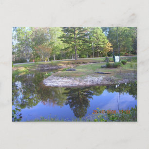 CARTE POSTALE "PARC COMMUN OKEFENOKEE"