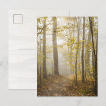 Parc d'automne atmosphérique dans la brume