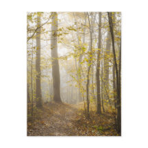 Parc d'automne atmosphérique dans la brume