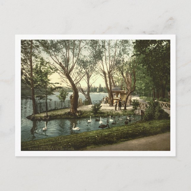 Carte Postale Parc de la Tête d'Or, Lyon, France (Devant)