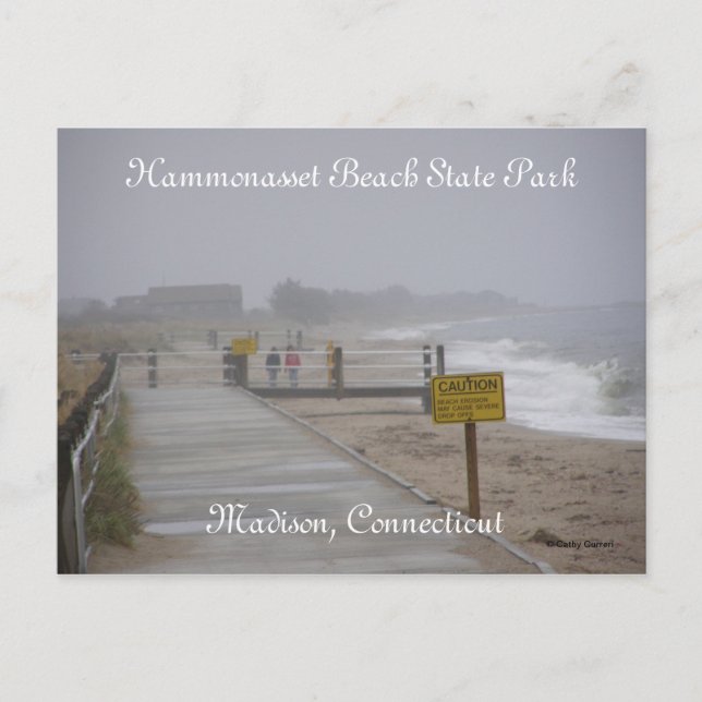 Carte Postale Parc d'état de Hammonasset Beach (Devant)