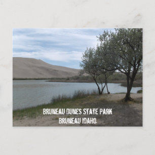 Carte Postale Parc d'état des Dunes Bruneau