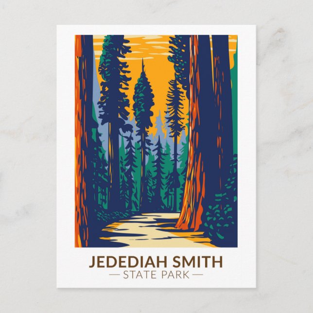 Carte Postale Parc d'État des séquoias Redwoods Jedediah Smith C (Devant)