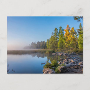 Carte Postale Parc d'état d'Itasca, Minnesota